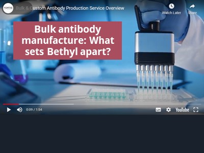 Video: Bethyl's bulk & custom antibody production service