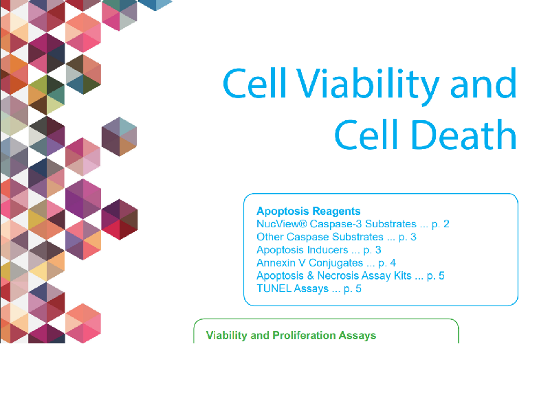 Download: Cell viability and cell death brochure