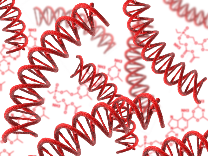 Nucleic acid stains and labelling Cambridge Bioscience, life science