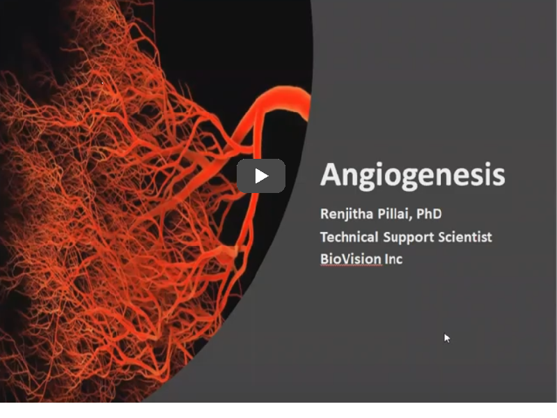 Webinar: Angiogenesis