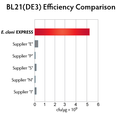E.cloni EXPRESS Efficiency