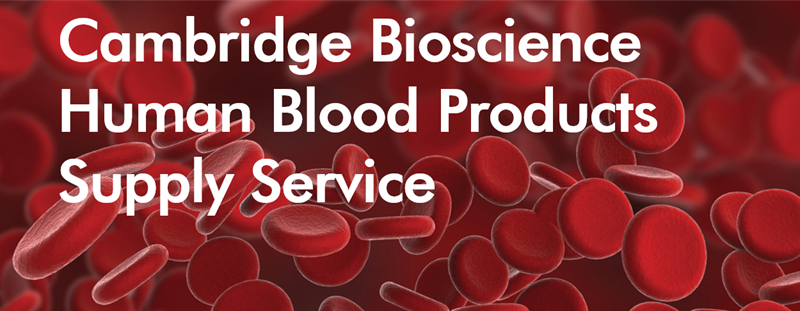 Download our blood supply service brochure