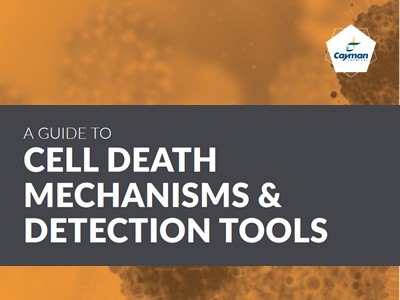Download the new Cayman Chemical guide to cell death