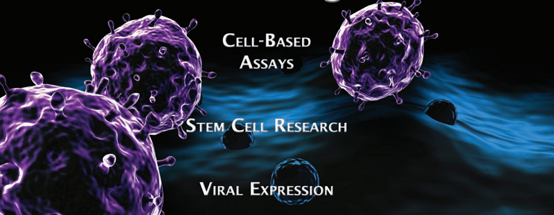 Download: Cell Biolabs brochure