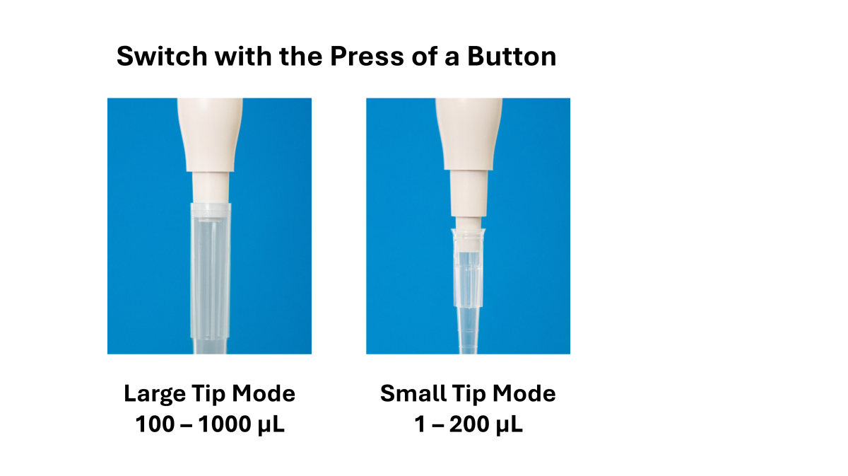 switch with a button