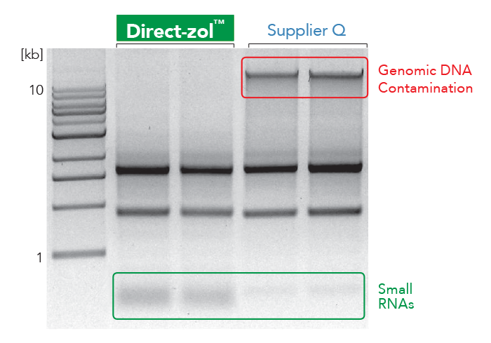 Direct-zol high quality RNA