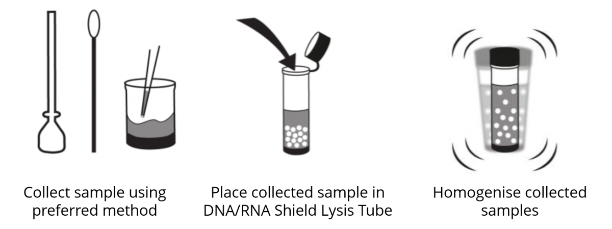 cambridge bioscience