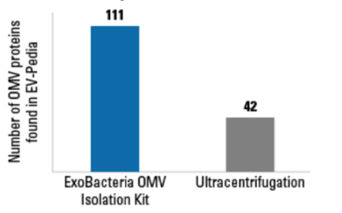  Identify more OMV proteins with OMVs isolated using the ExoBacteria OMV Isolation Kit. 