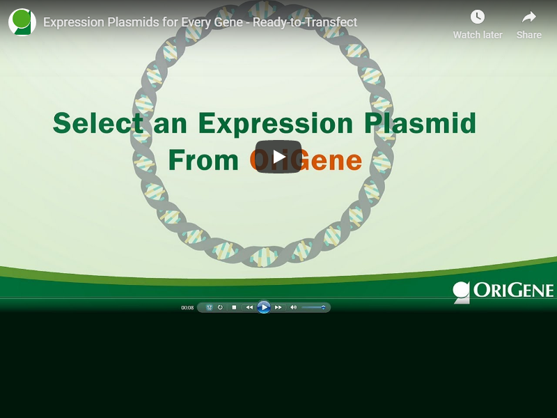 Video: Expression plasmids for every gene