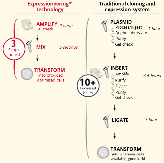 Comparison of Expressioneering technology and traditional cloning steps