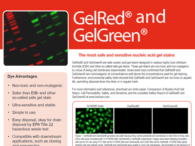 Download the GelRed and GelGreed brochure