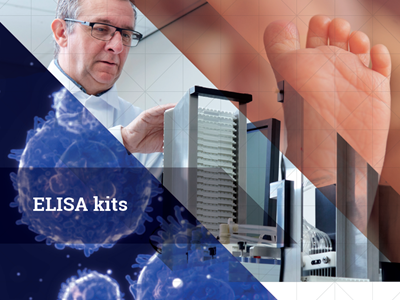 Download Hycult's ELISA kits brochure