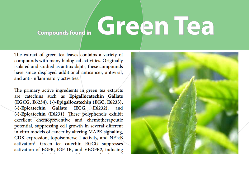 Download flyer: Green tea