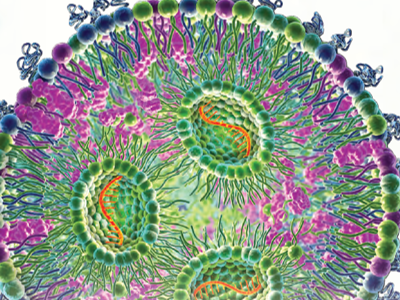 LipidLaunch your targeted drug therapy approach