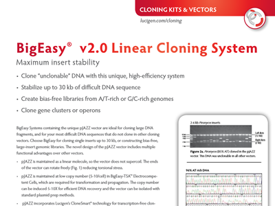 Download the BigEasy v2.0 linear cloning system brochure