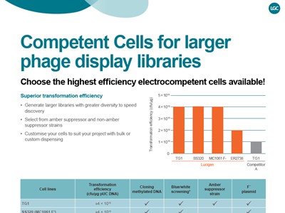 Competent cells for larger phage display libraries
