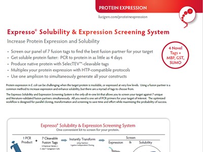 Lucgien Expresso product datasheet