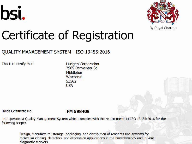 Download 13485 ISO-certified manufacturer certificate 