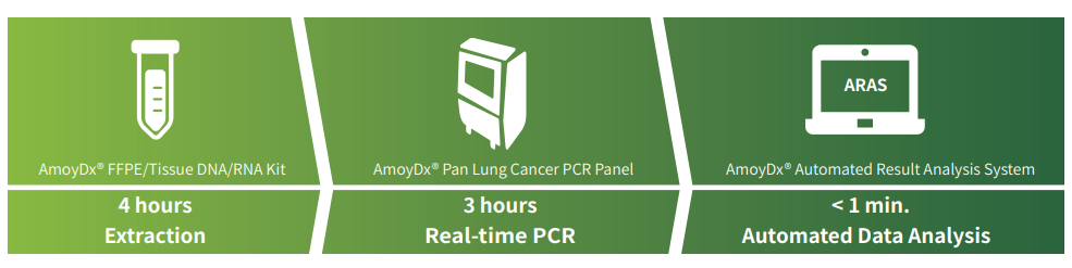 Pan lung acncer panel workflow