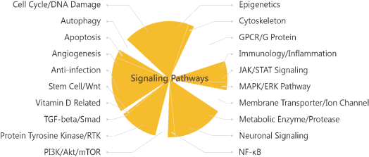 MedChem Express Signalling Pathways