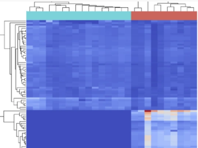 Discover Zymo Research's metatranscriptomic services