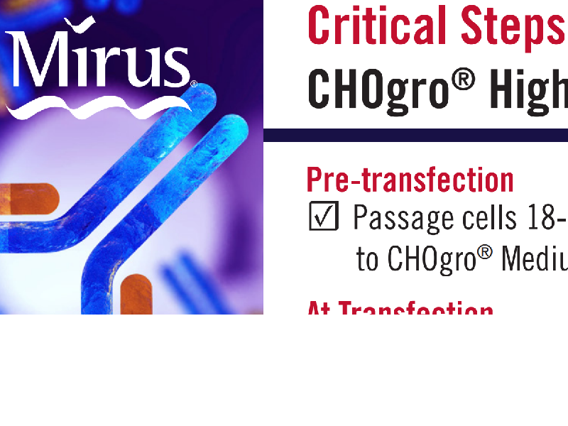 Download: CHOgro High Yield Expression System key steps 