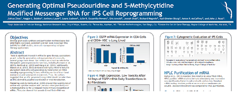 Download: Pseudouridine & 5-methylcytidine modified messenger RNA for iPS cell reprogramming