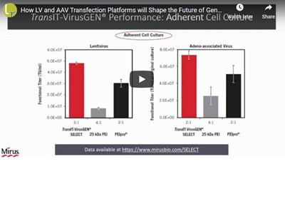 Webinar: LV and AAV transfection platforms & gene therapy