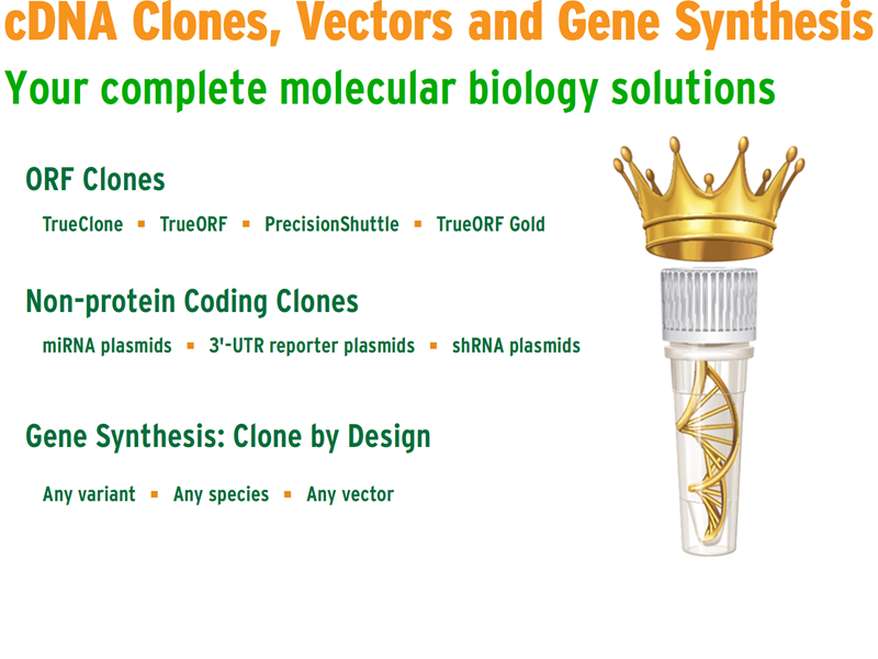 Download the OriGene cDNA clones brochure