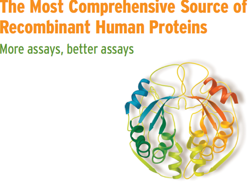 Download the OriGene proteins brochure