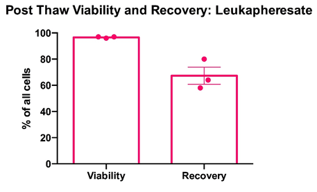 post thaw viability and recovery leukopak
