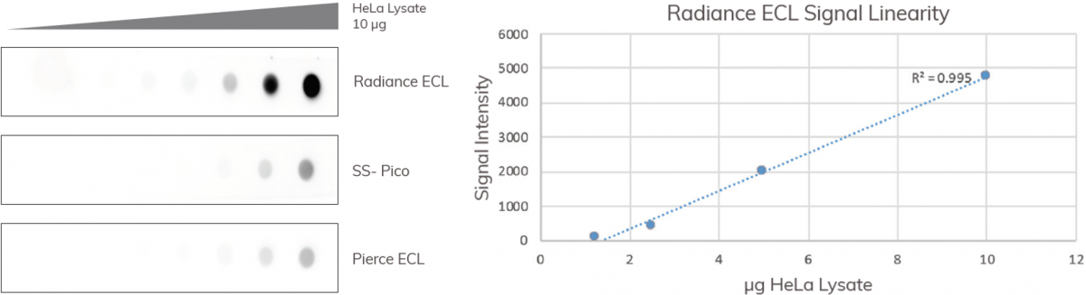 Radiance ECL signal linearity