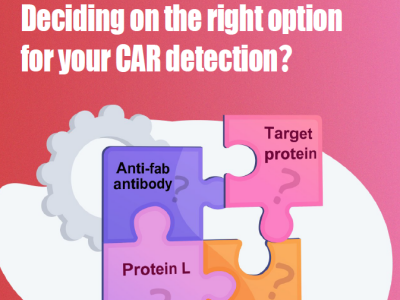 E-book: The right solution for CAR detection