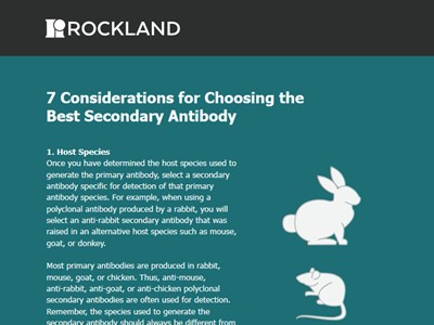 7 considerations for choosing the best secondary antibodies