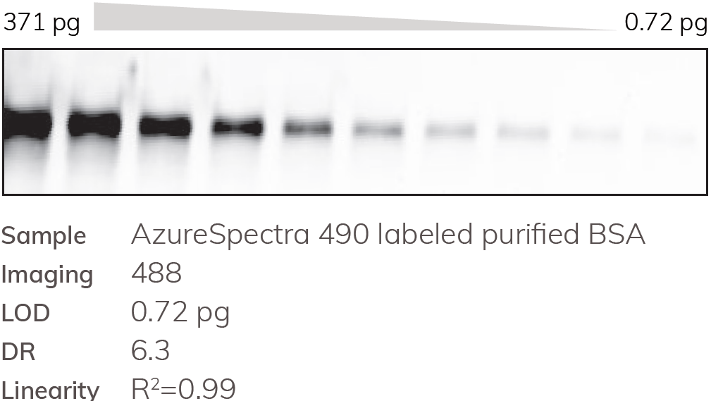 AzureSpectra 490 labeled purified BSA