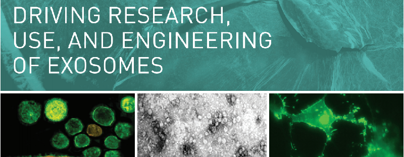 Download: SBI exosome research tools brochure