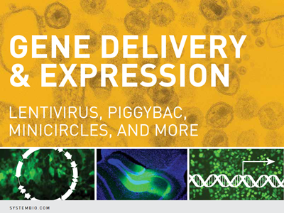 System Biosciences gene delivery and expression brochure