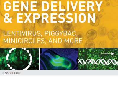 Download SBI gene delivery & expression brochure 