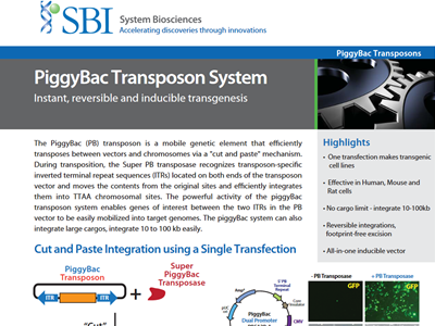Download the SBI PiggyBac transposon brochure