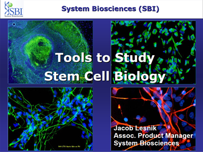 Download the SBI tools to study stem cell biology brochure