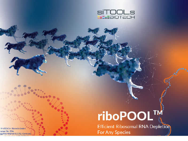 Download riboPOOL brochure