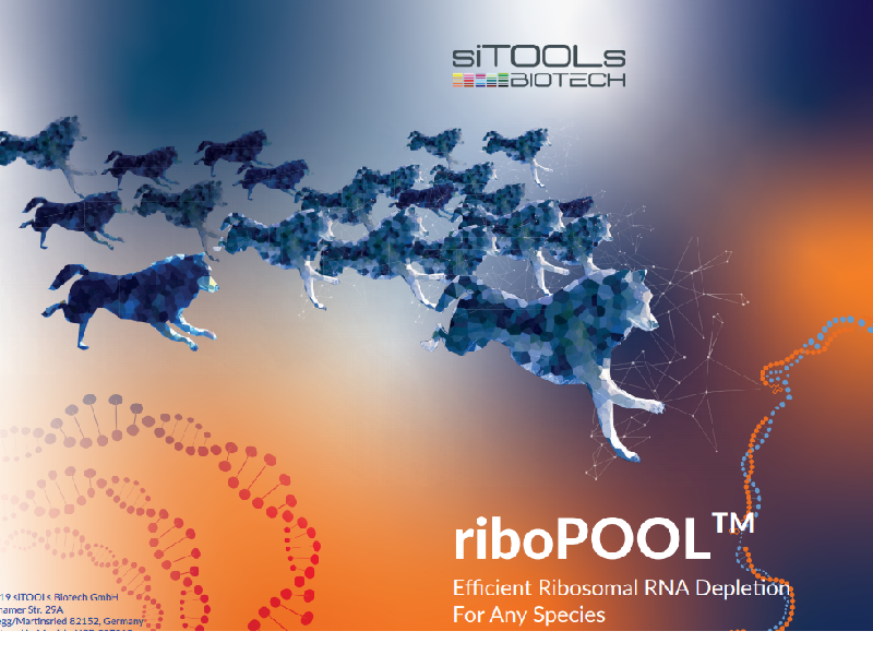 RiboPOOL: efficient rRNA depletion for any species