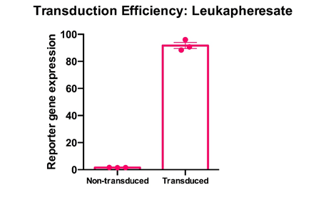 Transduction Efficiency