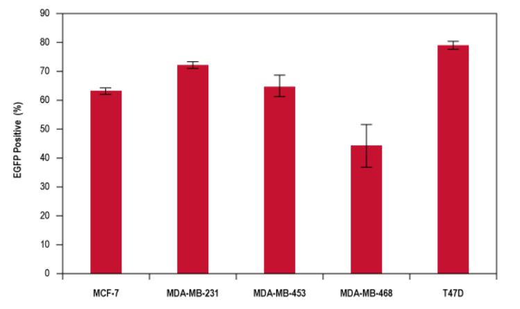 TransIT®-BrCa Transfection Reagent Yields High Efficiency Plasmid DNA Transfection. 