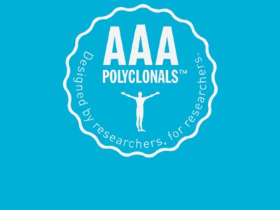 Learn more about Triple A Polyclonals