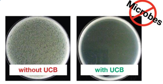 Urine Conditioning Buffer™ Prevents Microbial Growth At Ambient Temperature