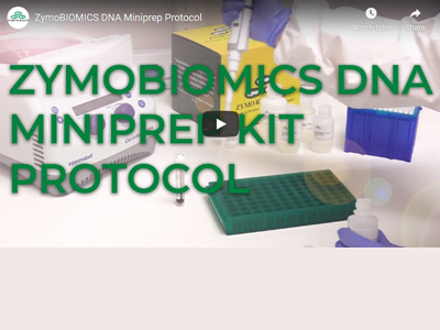 Video: ZymoBIOMICS DNA Miniprep kit protocol