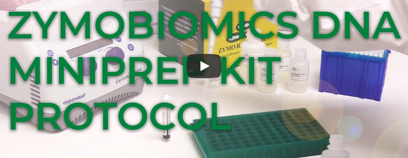cambridge bioscience
