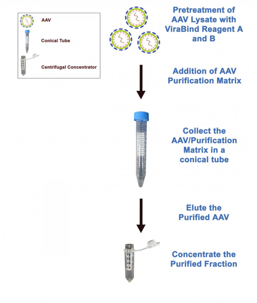 Concentration and purification procedure using ViraBind