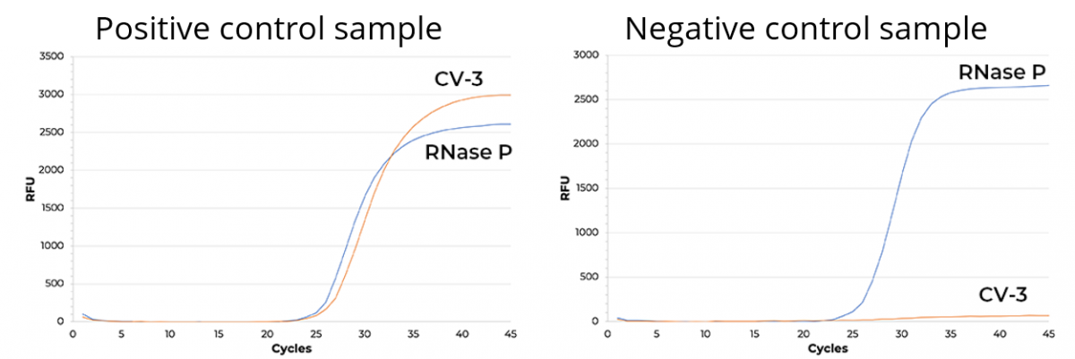 High quality SARS-CoV-2 RNA extraction